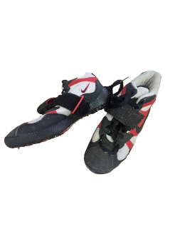 Pointes 38.5