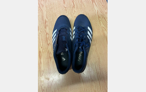 Pointes 41.5