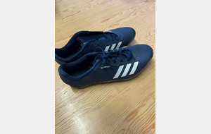 Pointes 41.5