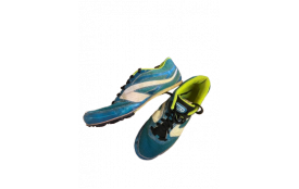 Pointes 42