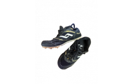 Pointes 37 