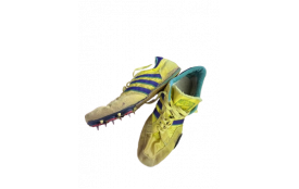 Pointes 41