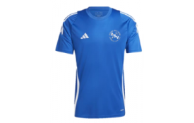 T-shirt d'entraînement ADIDAS