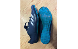 Pointes 41.5
