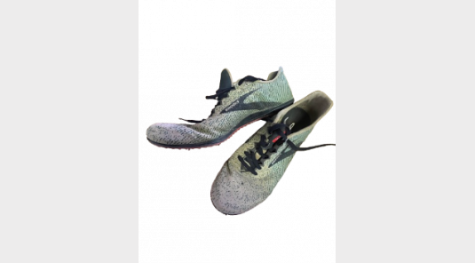 Pointes 42.5